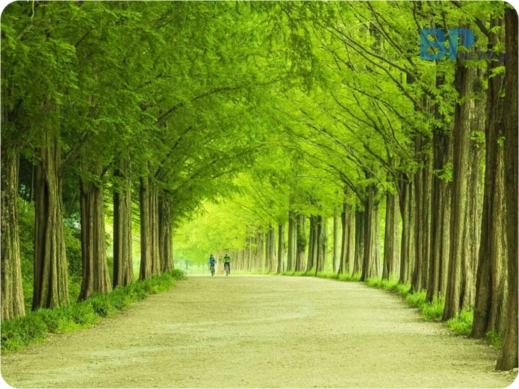 _upload_1754441115.png?u=1754441115