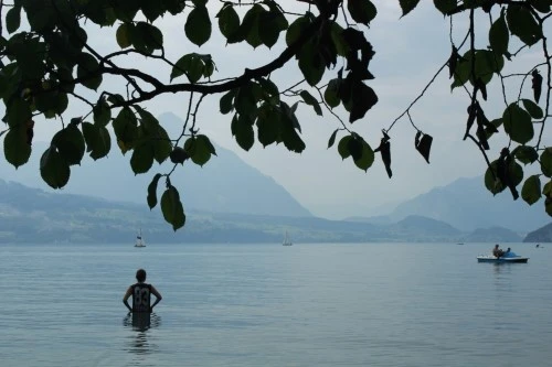 _MG_3222.JPG?type=w2