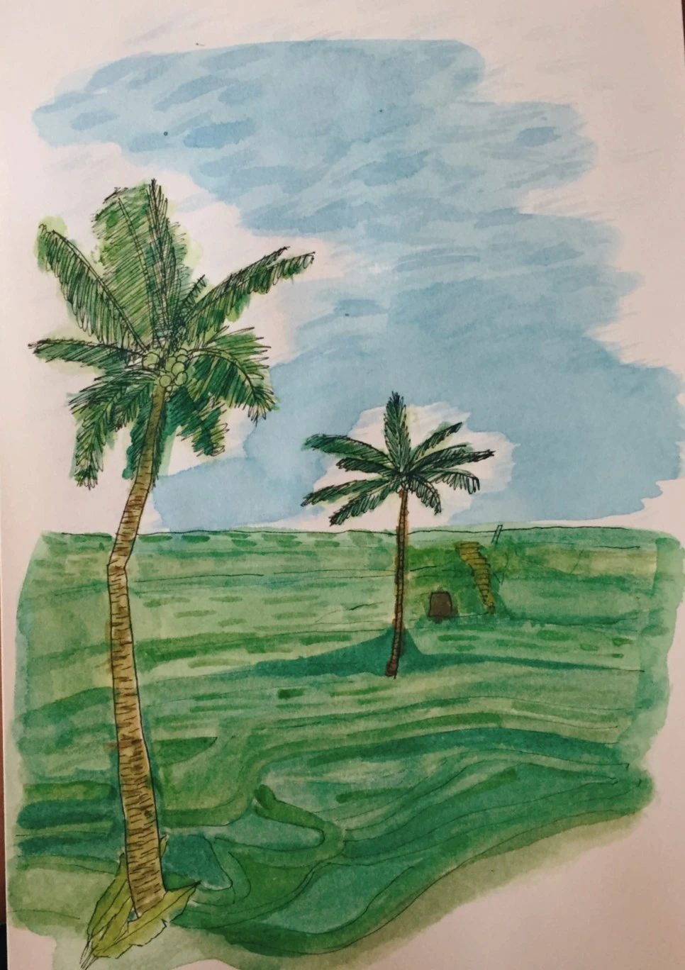 IMG_5069.JPG?type=w966