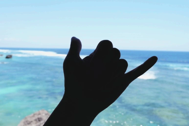 image_688436991543060256303.jpg?type=w773