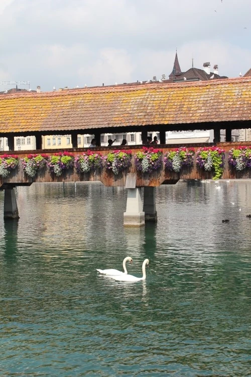 IMG_2488.JPG?type=w2