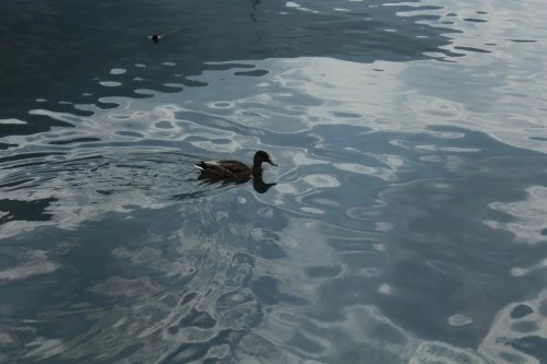 _MG_3217.JPG?type=w2