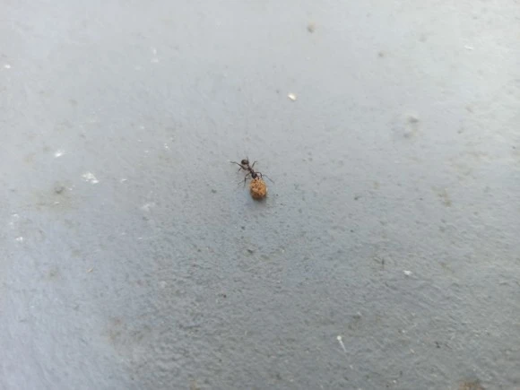 IMG%EF%BC%BF20210522%EF%BC%BF111939.jpg?type=w580