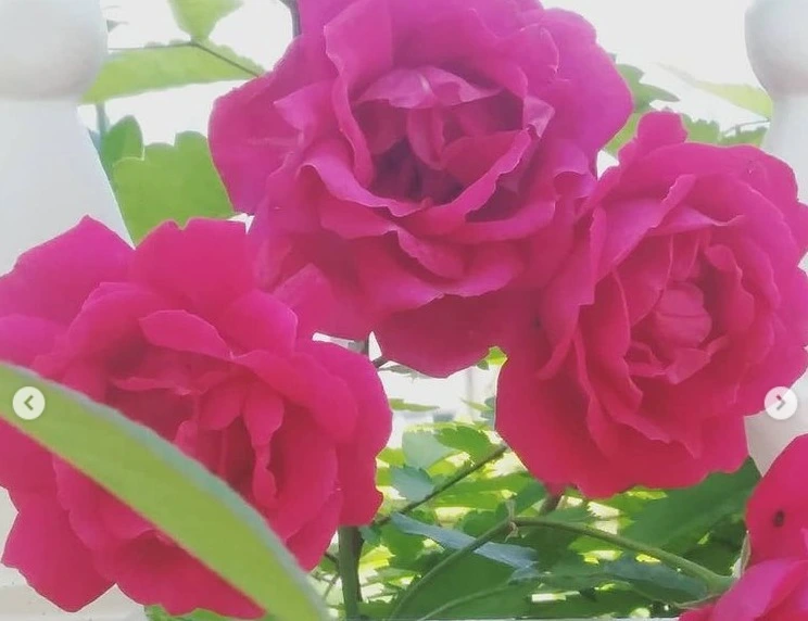 웹 캡처_16-10-2021_195752_www.instagram.com.jpeg