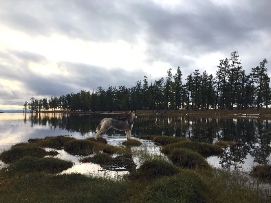 SE-95b60c33-ba0f-4063-a778-84737ccf20fa.jpg?type=w1