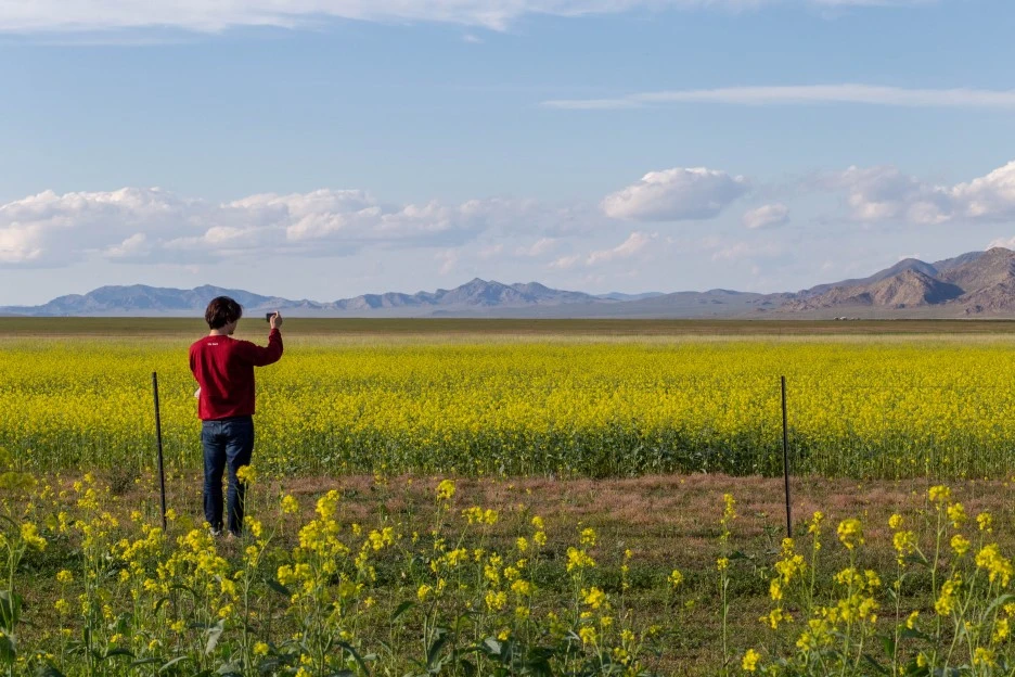 %25EC%25A0%259C%25EC%258A%25A43.jpg?type=w1