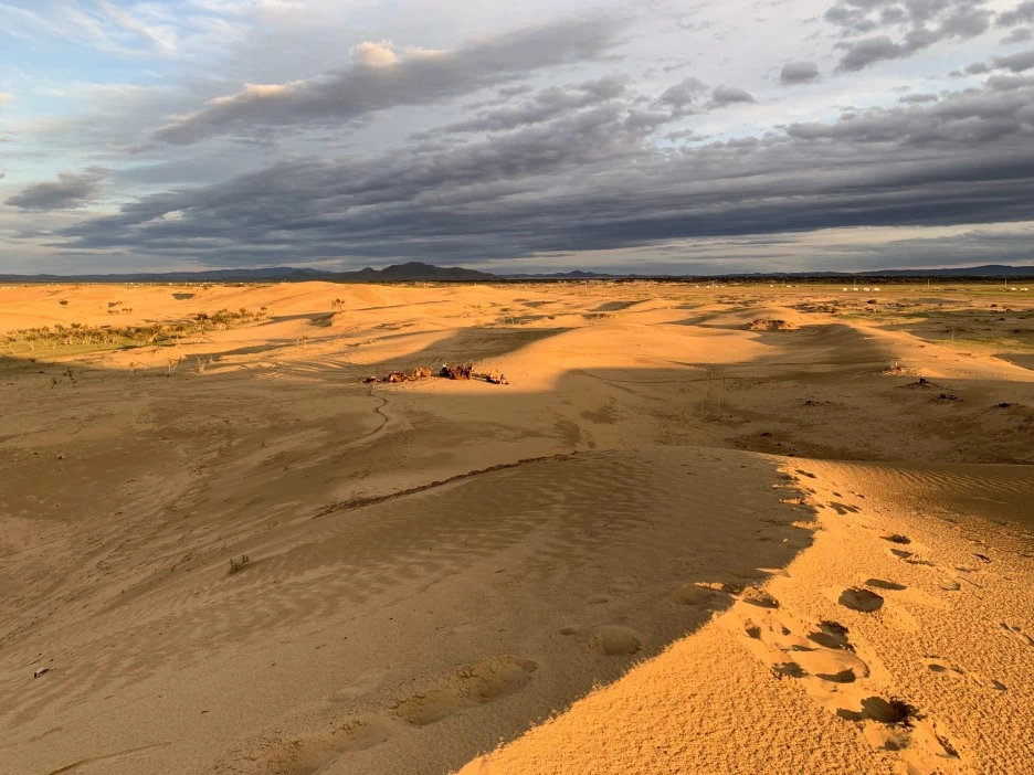 P20190907_191034302_7E6CB319-7D95-4331-BD04-E3AE563866D6.JPG?type=w1