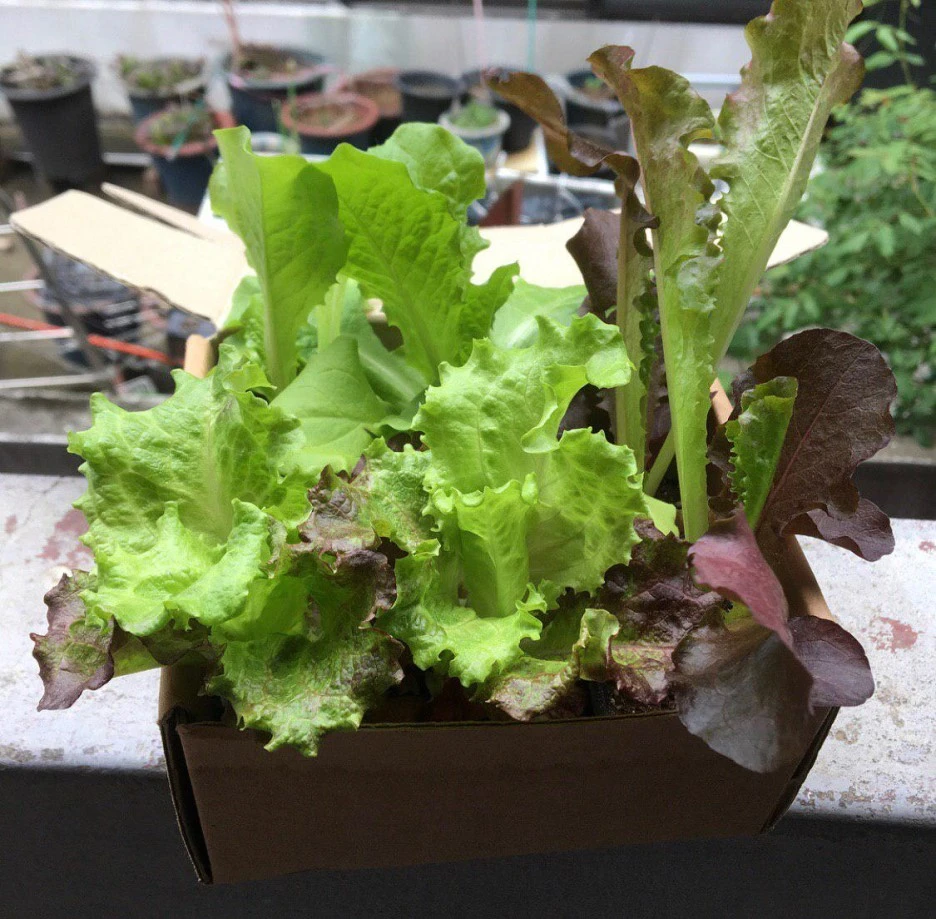 photo_2019-05-28_15-29-31.jpg?type=w1