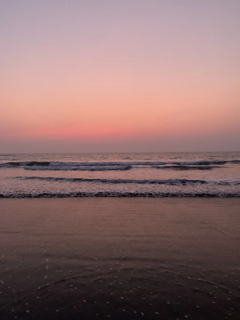 IMG_6298.jpg?type=w773