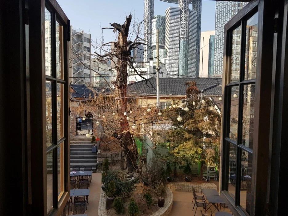 %EC%98%A4%EB%8F%99%EB%82%98%EB%AC%B4.jpeg?type=w1