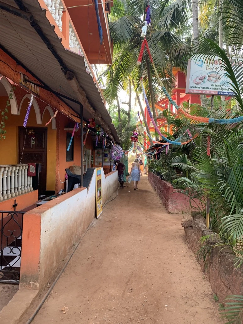 IMG_6233_2.jpg?type=w773