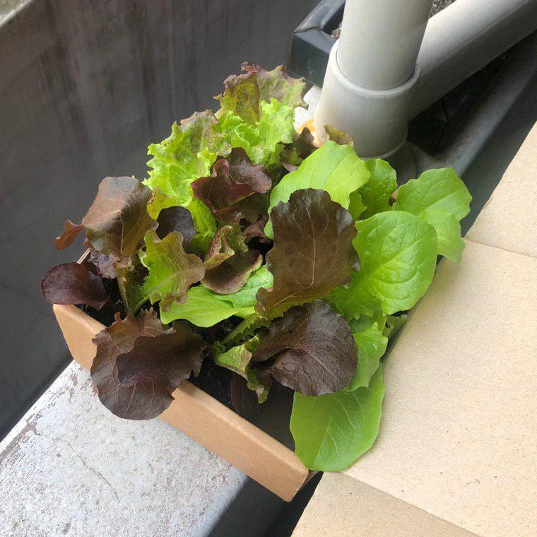 SE-a436e0d5-4eed-4f78-bba8-d3c2da70800d.jpg?type=w1