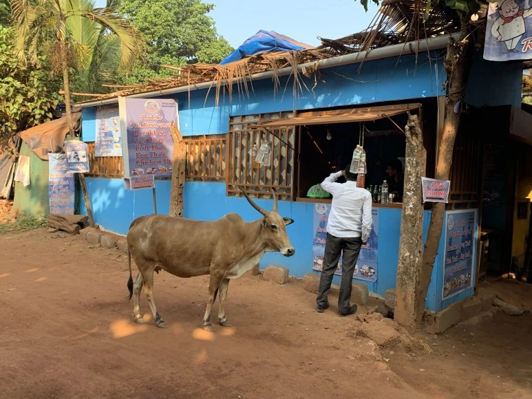 IMG_6389.jpg?type=w773