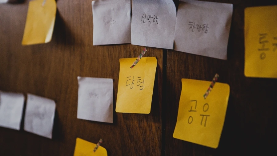 539b9635.jpg?type=w966