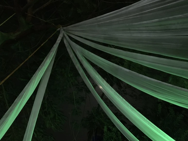 IMG_6463.jpg?type=w773