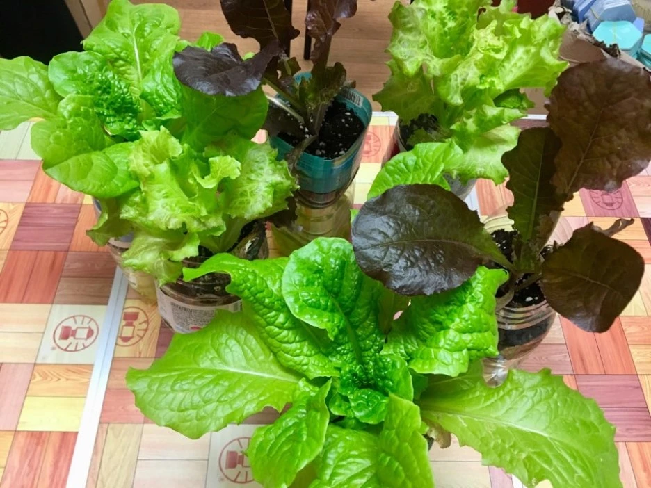 %EC%83%81%EC%B6%94_%EC%99%84%EC%84%B1.jpeg?type=w1