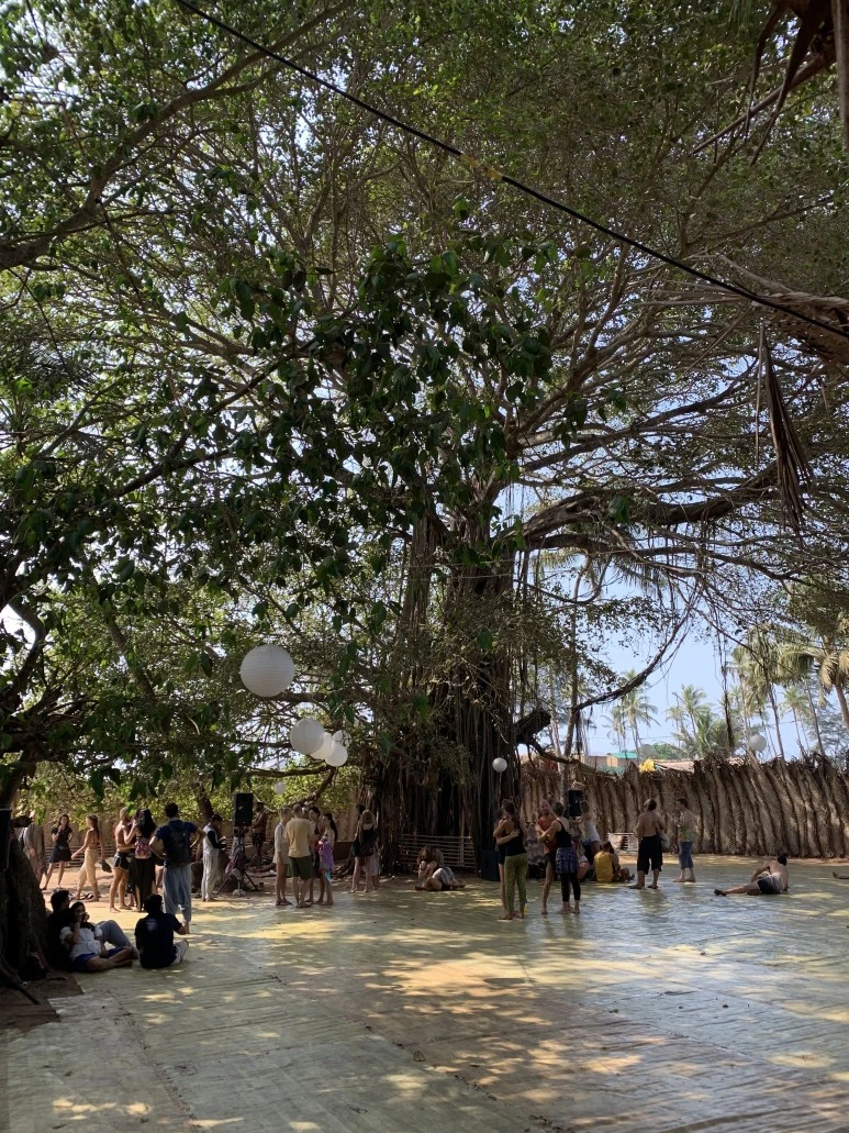 IMG_6405.jpg?type=w773