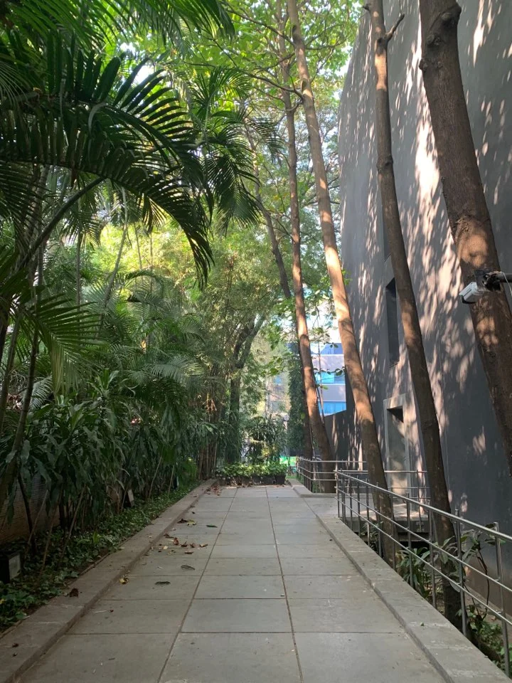 KakaoTalk_Photo_2020-03-18-21-37-55.jpeg?type=w2