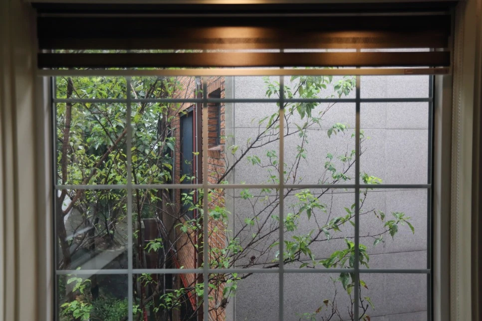 _MG_3963.JPG?type=w966