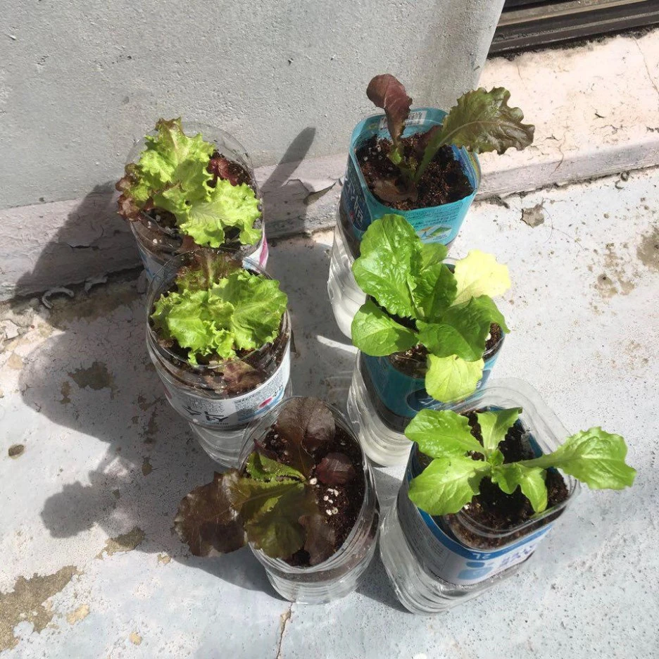 photo_2019-05-28_15-29-22.jpg?type=w1