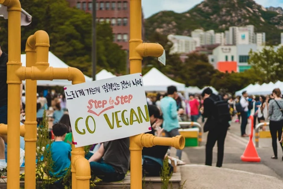 60551618_1428496617293072_634807492177559552_n.jpg?type=w1