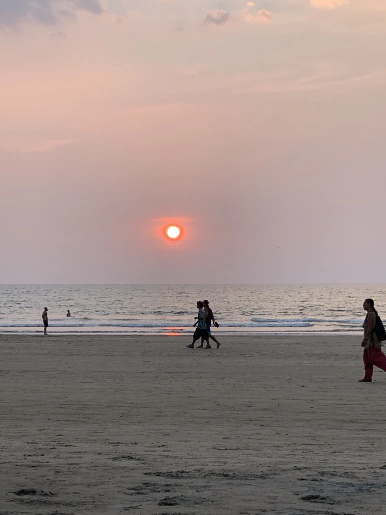 IMG_6361.jpg?type=w773