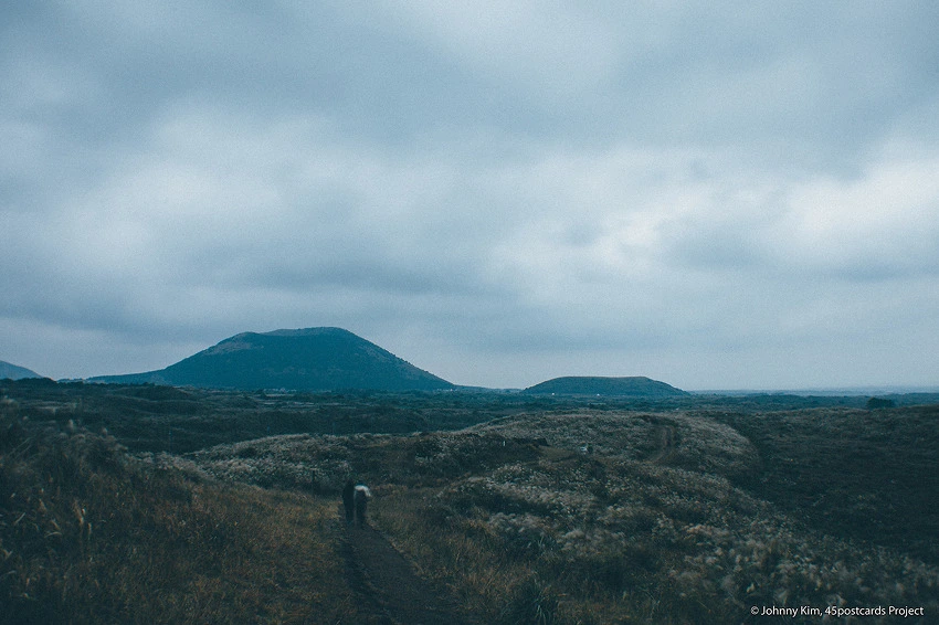 2428234A563EA2DA22EF85