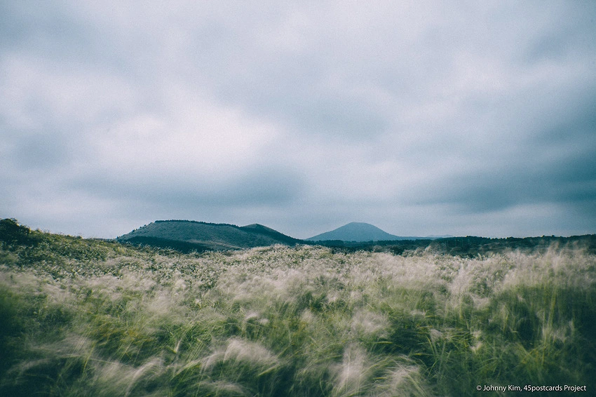 242D833B563E3E5C0F0DE0