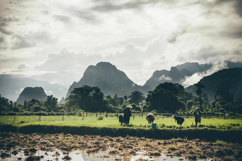 2106B84955DDC2033699F2