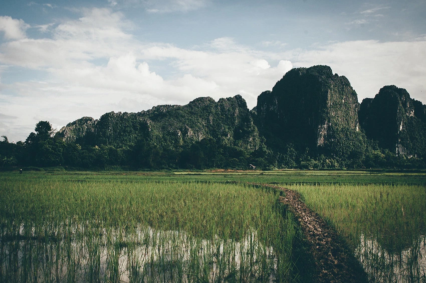 27388E4955DDC20604D129