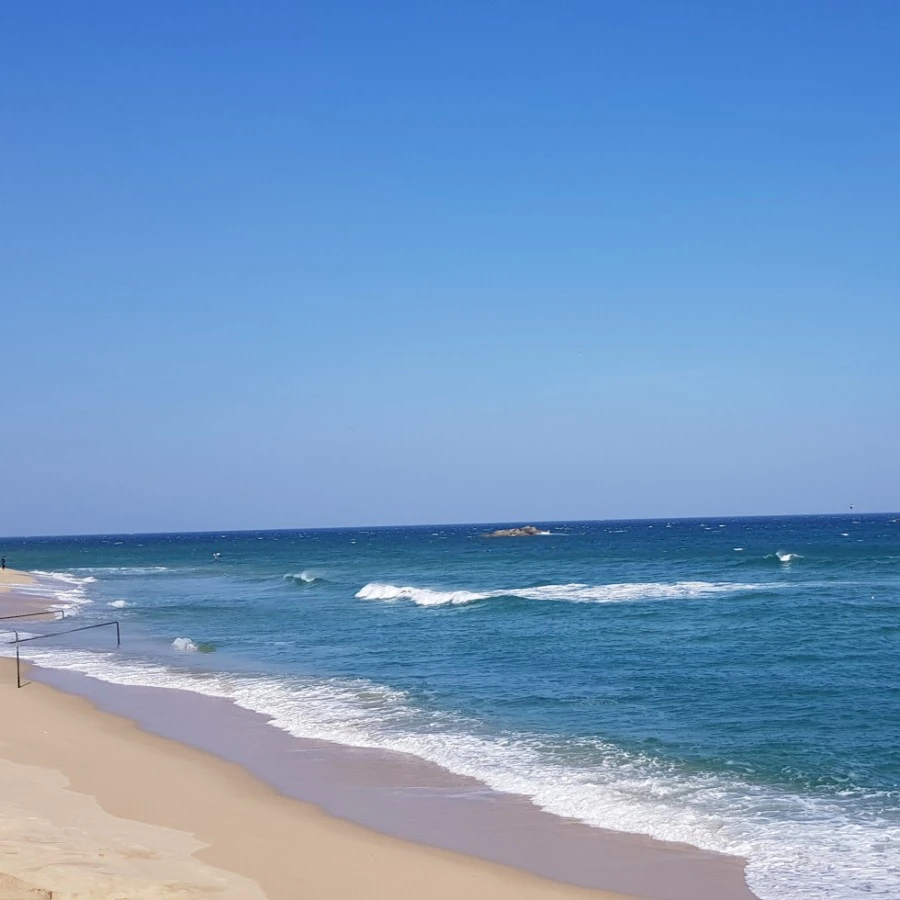 IMG%EF%BC%BF20210221%EF%BC%BF205508%EF%BC%BF463.jpg?type=w1