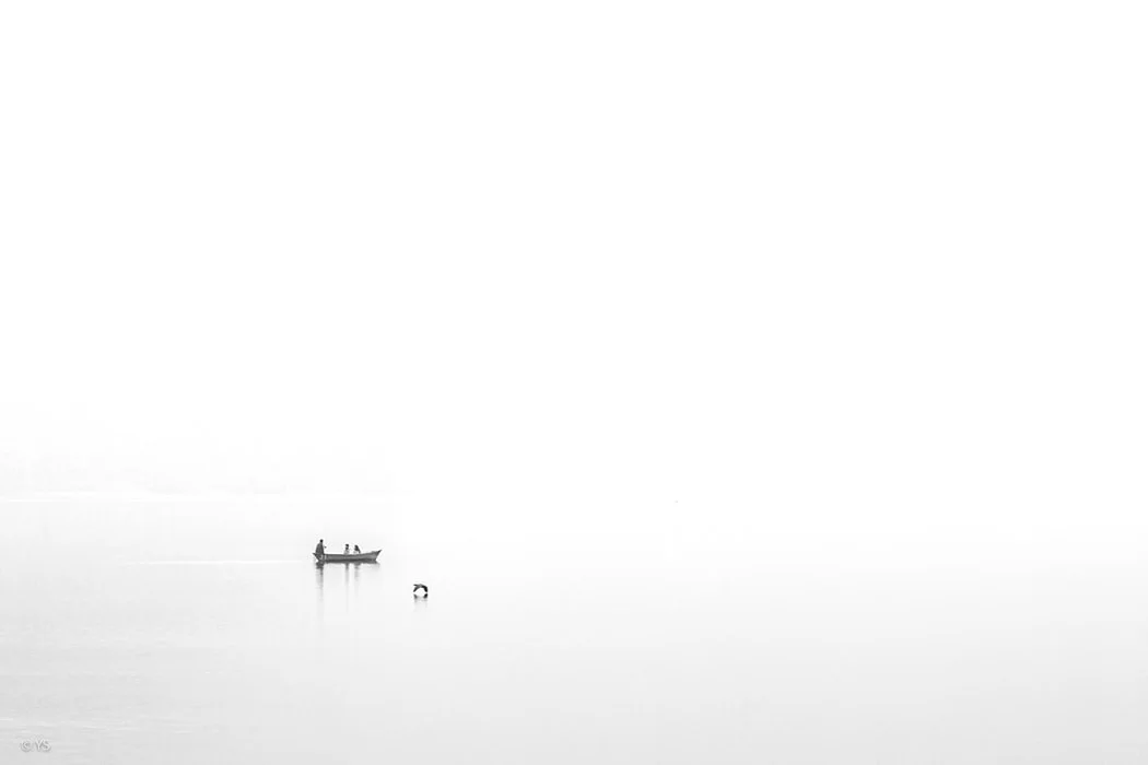 photo-1583943836096-6e695095bc4a.jfif