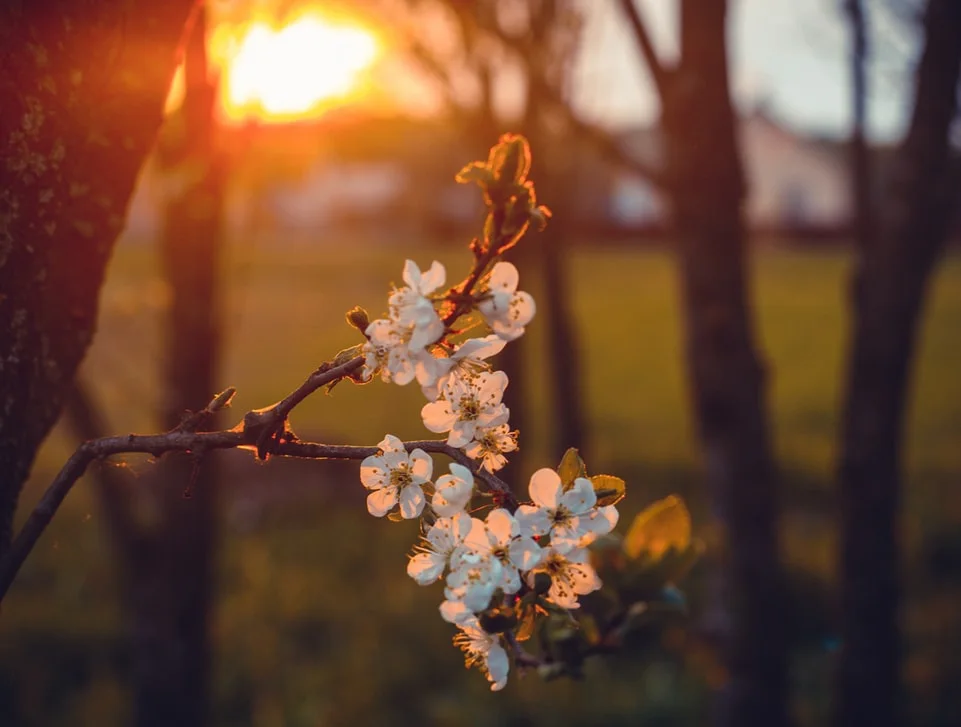 photo-1520799163662-189c0284137b.jfif