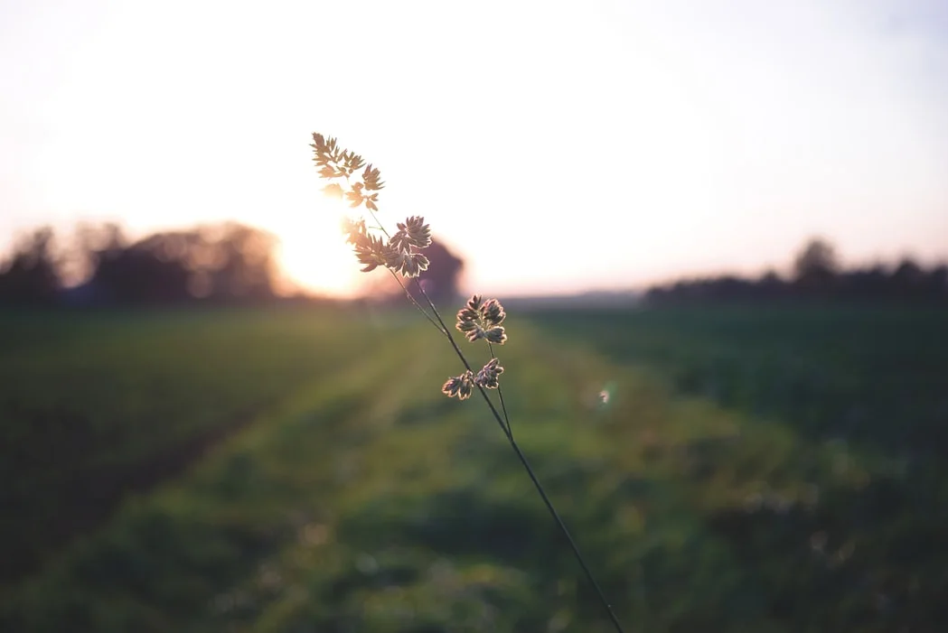 photo-1509116838175-8476e9278c2f.jfif