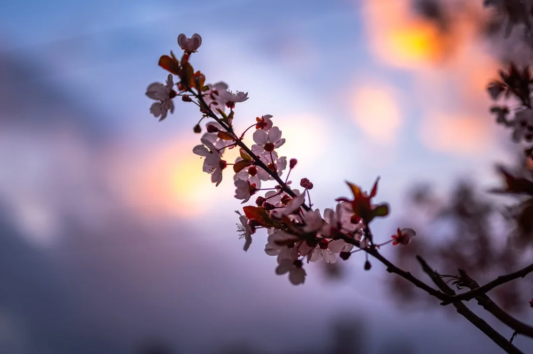 photo-1614971218175-323cc51f58d6.jfif