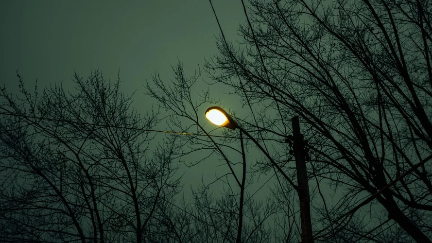 photo-1575582491989-c77e10998abf.jfif