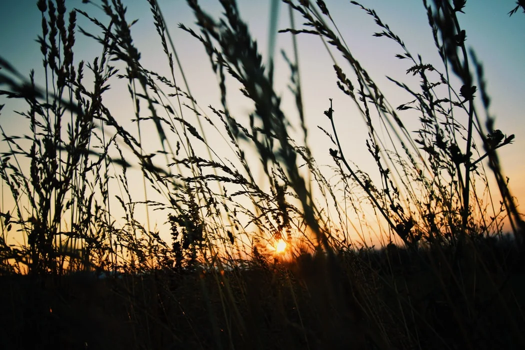 photo-1562557219-d920f6be43dc.jfif