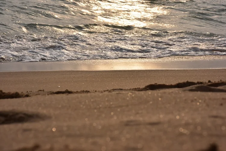 photo-1567157610569-8d1d1cf1df01.jfif