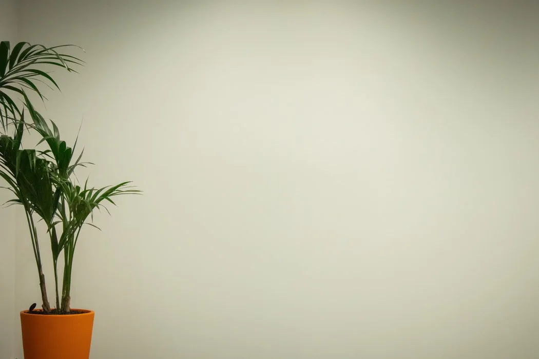 photo-1577017040065-650ee4d43339.jfif