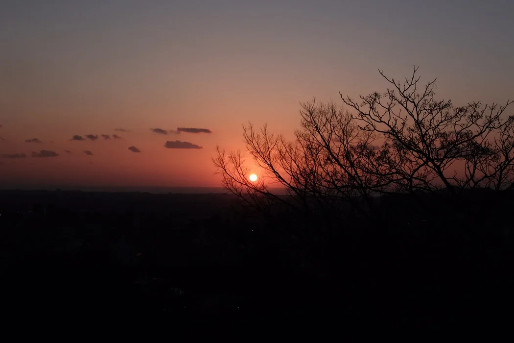 photo-1560951112-b5338d1fc7a3.jfif