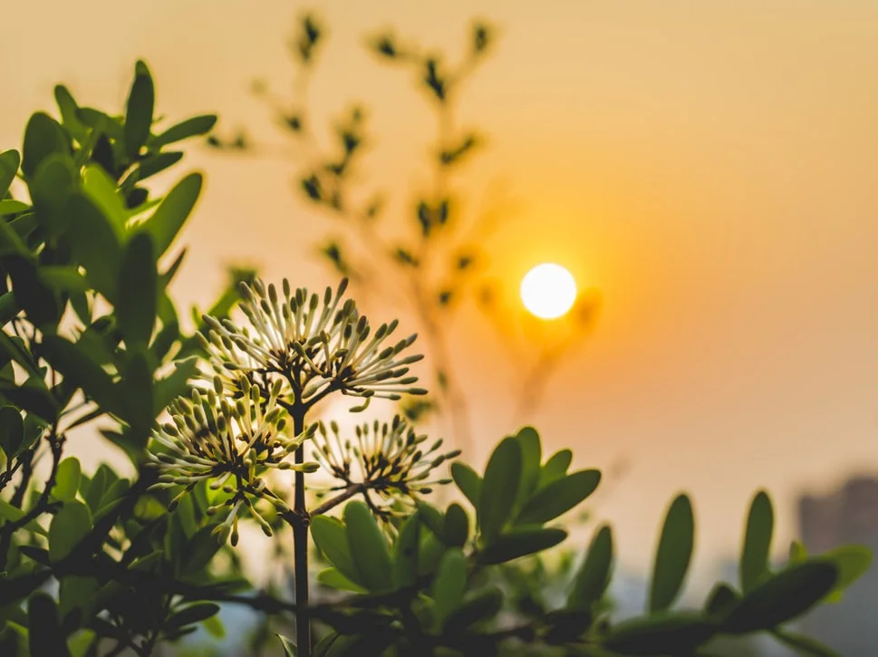 photo-1521834029104-b056ecebbb05.jfif