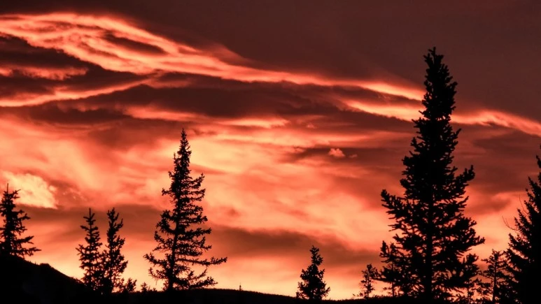 photo-1523749223910-4f06acc21f47.jpg?type=w773