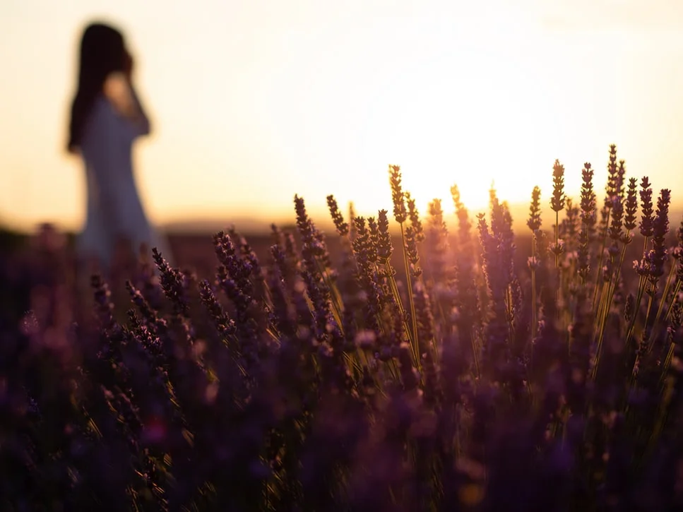 photo-1530086540-e7a924de9fa9.jfif