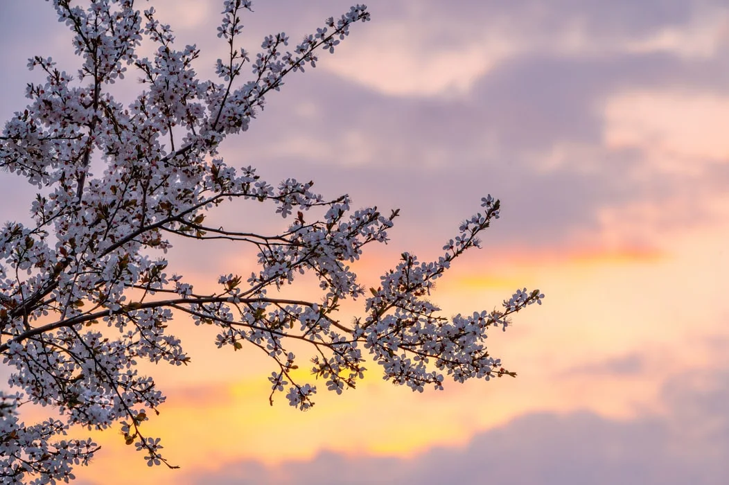 photo-1614971220389-5d9a41931383.jfif