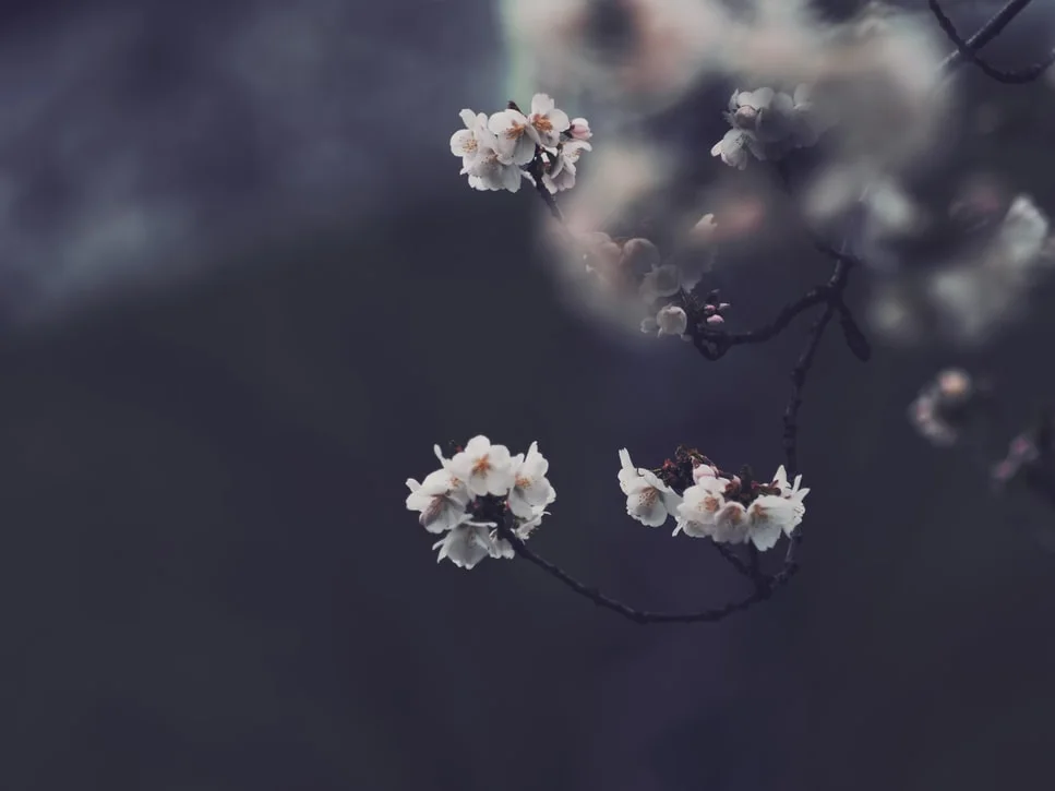 photo-1504721702017-e9b4c5533cdf.jfif