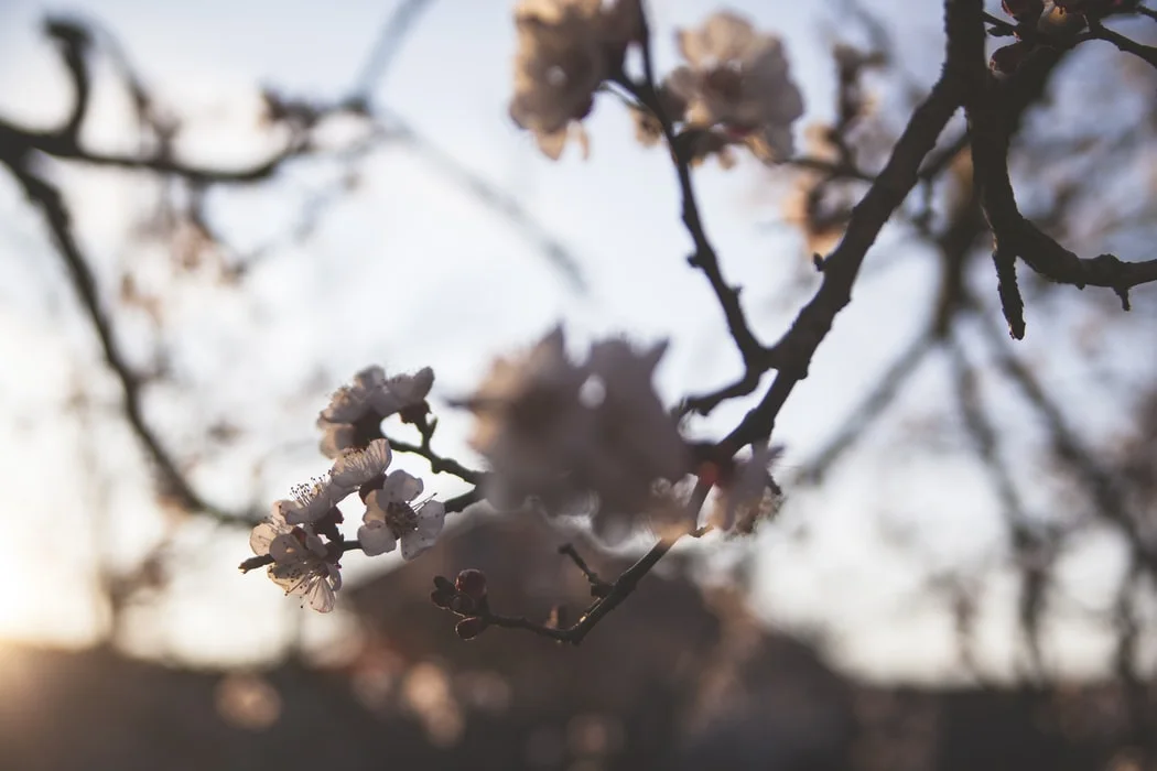 photo-1586198795466-3a86e08bead8.jfif