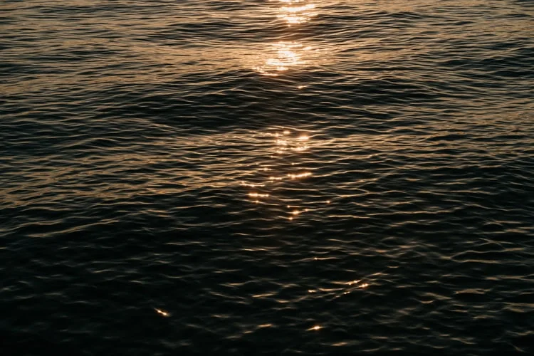 photo-1624299735500-e07944b7e0e3.jfif