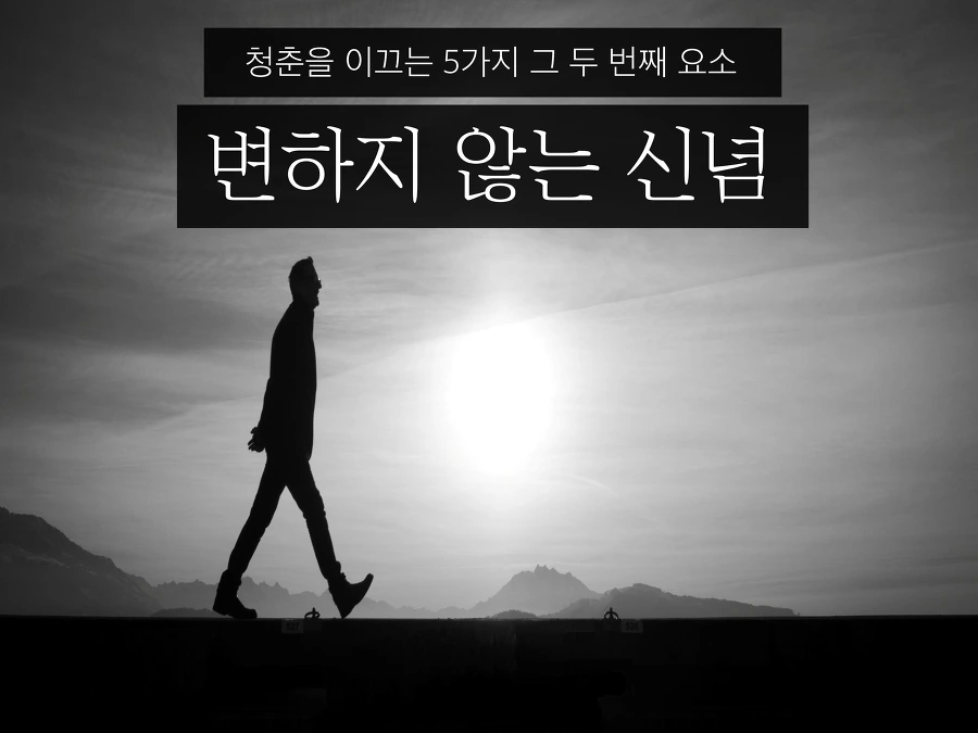 2502533C560B61A302F729