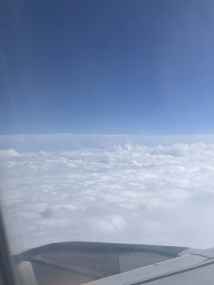 IMG_3492.jpg?type=w1