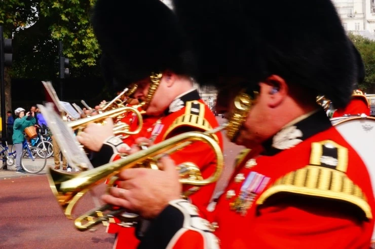 DSC02331.JPG?type=w1